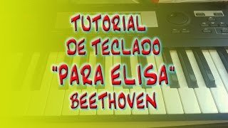 PARA ELISA TUTORIAL TECLADO [upl. by Ranice]