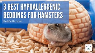 The 3 Best Beddings for Hamsters with Allergies [upl. by Aroc]