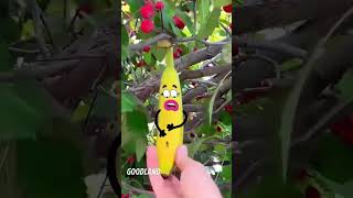 GOODLANDs Secret Banana Surgery Exposed doodles animation cartoon GOODLAND [upl. by Sitoiyanap]