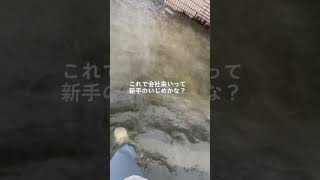 これで出勤はエグい Shorts TikTok おすすめ 雨 大雨 社会人 社会人vlog 新卒 出勤 通勤 [upl. by Nuahsyar]