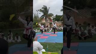 Sword 🗡️ Demo on Independence Day free style Broadsword swordmaster moves trending video [upl. by Ahsemaj]