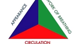 Paediatric Assessment Triangle [upl. by Netsirc562]