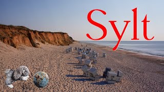 Sylt  Insel der traumhaft schönen Landschaften 4K [upl. by Pyotr449]