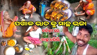 Pakala Bhata କୁ Macha ଭଜା  Odisha Village Life Food Odia Vlogs Sukanta Mistri Lifestyle [upl. by Petrick]