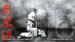 Karate ShitoRyu HayashiHa Kata amp Bunkai [upl. by Sucramraj]