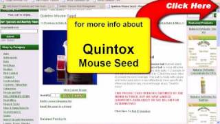 Quintox Mouse Seed To Bait amp Kill Mice [upl. by Doxia112]