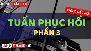 🔴LIVESTREAM 20112024  TUẦN PHỤC HỒI Phần 3  NHẬN ĐỊNH THỊ TRƯỜNG [upl. by Osnola]