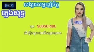 សង្សារ​សម្លាញ់ចិត្ត  ភ្លេងសុទ្ធ  OFFICIAL KARAOKE [upl. by Aihsar]