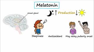 Z Drugs Melatonin Agonists amp Orexin Receptor Antagonists [upl. by Marduk]