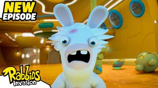 Mad Rabbid and the secret of the flying submarine S04E01  RABBIDS INVASION  Cartoon for Kids [upl. by Netnilc]