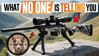 22 LR Rifles What NO ONE is telling you [upl. by Oza801]