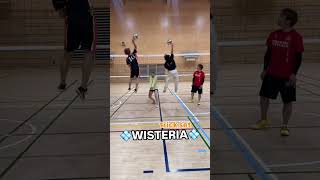 WISTERIA TRICK SET WISTERIAWORLDVOLLEYBALL [upl. by Eimile]