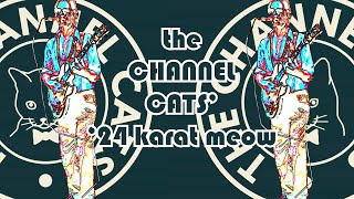 The Channe Cats presentquot24 KARAT MEOWquot live from the Renwick Mansion Davenport IA January 6 2024 [upl. by Atekehs129]