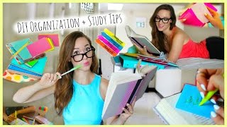 Back to School ♡ Study Tips  DIY Organization  School Supplies [upl. by Anitsud186]