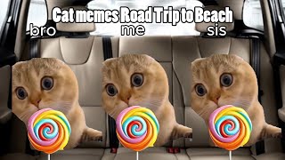 CAT MEMES Road Trip Beach episode 2 [upl. by Annuahsal945]