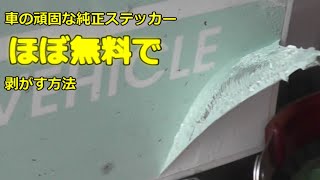 誰も知らない！車の純正ステッカーを剥がす方法。どのご家庭にもあるもので出来ちゃいます。 [upl. by Dorri]