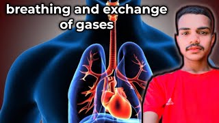 HOW HUMAN BREATHS  part1  Breathing amp Exchange of GASES [upl. by Nod]