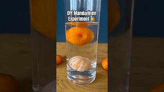 DIY Mandarinen Experiment funforkids kindergarten experiment diy kidscrafts science forkids [upl. by Nawad]