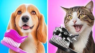 Gadgets para Mascotas Baratos vs Caros 🦄 ¡Buen Perro Rico vs Gato Malo Pobre Por 123 GO [upl. by Yelsew]