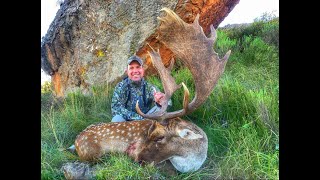 Chasing Stags  Fallow Deer Hunting in Molteno EC [upl. by Cela793]