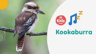 🎵 Kookaburra  Emily Wurramurra  Indigenous Lullabies  ABC Kids listen [upl. by Licastro]