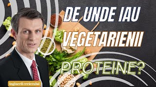 Top 10 surse de proteine vegetale [upl. by Latsyc]