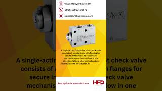 VRSLFL – SINGLEACTING FLANGEABLE PILOT CHECK VALVE  HFD Hydraulic hydraulicvalves [upl. by Meredithe357]