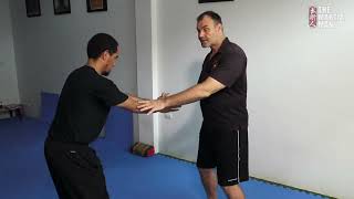 One Inch Punch  Part 1  Intrinsic Energies of Internal Martial Arts [upl. by Nedroj]