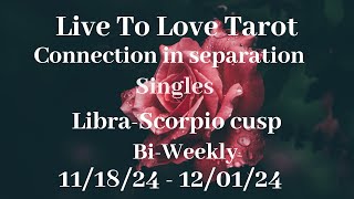 ♎️ Libra ♏️ Scorpio cusp love reads❤️They need to make it right❤️ [upl. by Aleda]