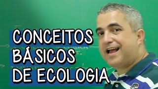 Níveis de Organizações Ecológicas  Extensivo Biologia  Descomplica [upl. by Ainevuol177]