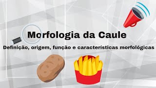 Morfologia do Caule [upl. by Vachill]