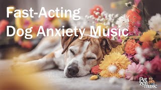 FastActing Dog Anxiety Music  Eases Anxiety and Promotes Better Sleep [upl. by Farkas]