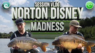 NORTON DISNEY MADNESS  SESSION VLOG [upl. by Tterraj860]