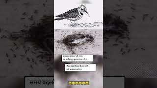 Samay badlte der nhi lagti shortvideo motivation shortvideo [upl. by Nirre375]