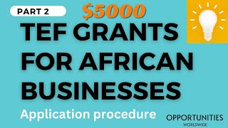 TEFTony Elumelu Foundation application procedure 2024 part 2 Test   Business Grant for Africans [upl. by Flint]