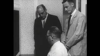 Obedience  The Milgram Experiment Milgram 1962 [upl. by Ramso]