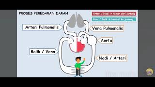 Tugas sistem peredaran darah 3 [upl. by O'Connell]