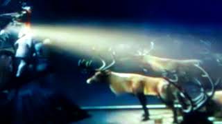 Polar Express  Caribou Scene [upl. by Crespi432]