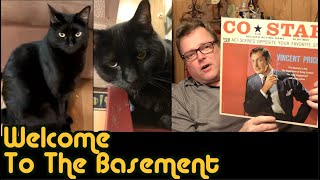 Cats acting and more from the vault  Welcome To The Basement [upl. by Loydie]