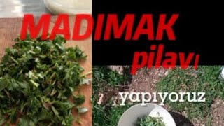 Madımak pilavı nasıl yapılır [upl. by Ciryl]