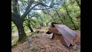 Abandoned Gold Mine Overloaded With Quartz amp Crystals [upl. by Hoyt761]