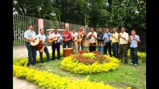 Parranda Cardenales De Canoabo  El Silbadito [upl. by Adachi103]