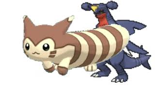 Furret Walking with a Garchomp [upl. by Waterman]