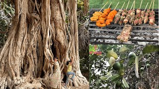 Madha Oman UAE  Farm In Madha  Madha Oman Street Food In Dubai  Banyan Tree  SHASS WORLD 227 [upl. by Ejrog208]