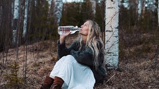 How to tap Birch Sap  Health benefits amp a taste of spring [upl. by Enoed]