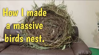 How I made a massive birds nest [upl. by Bertle]