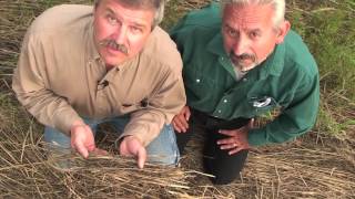 Soil health lesson in a minute discover the cover [upl. by Jerrold]