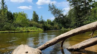 Paddling the Pine River Manistee National Forest hour 1 [upl. by Euv]