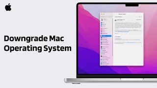 How to Downgrade MacOS Version  2024 Full Guide [upl. by Nitsej145]