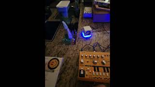 Unboxing Behringer TD3 Analog Bass Line Synthesizer with 16Step Sequencer [upl. by Nospmas184]